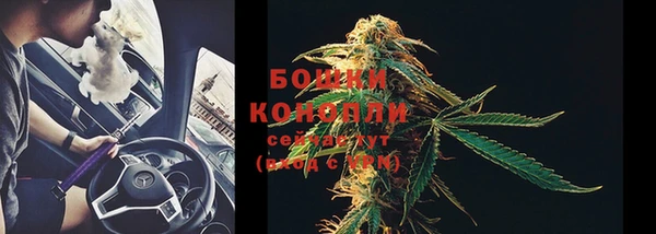 бошки Инта