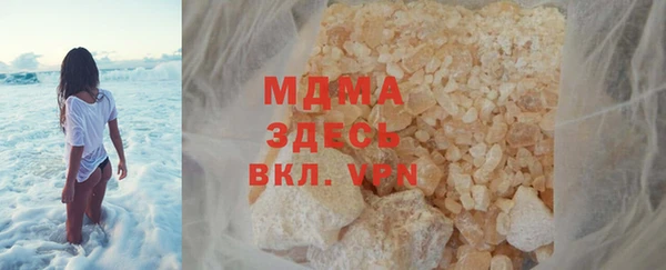 индика Каменногорск