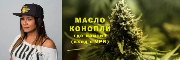 индика Каменногорск