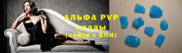индика Каменногорск