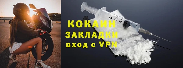 индика Каменногорск