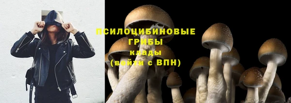 ПСИЛОЦИБИНОВЫЕ ГРИБЫ Инсар