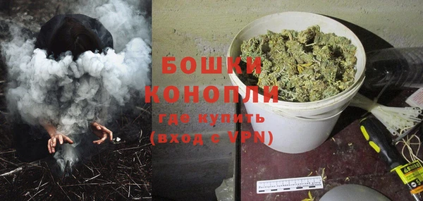 индика Каменногорск