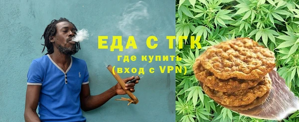 индика Каменногорск