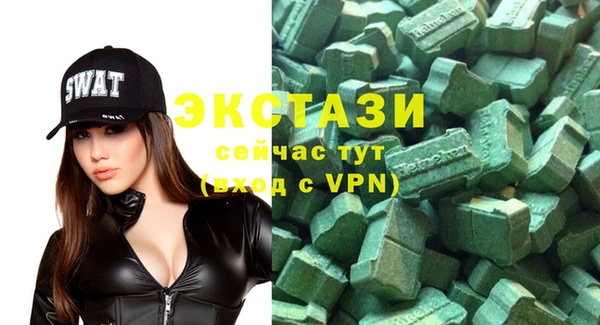 индика Каменногорск