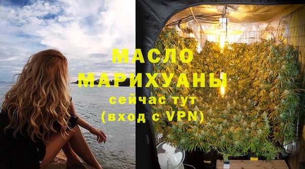 индика Каменногорск