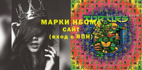 ПСИЛОЦИБИНОВЫЕ ГРИБЫ Инсар