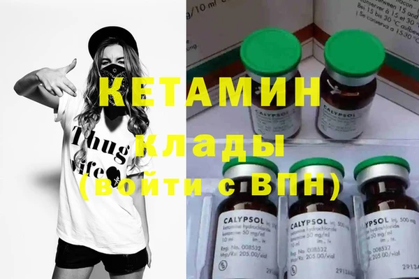 ПСИЛОЦИБИНОВЫЕ ГРИБЫ Инсар