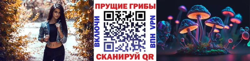 купить наркоту  маркетплейс состав  Галлюциногенные грибы Psilocybe  Новочеркасск 