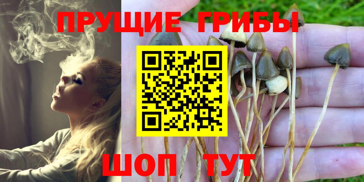 Новочеркасск  Галлюциногенные грибы GOLDEN TEACHER  Вход с VPN 